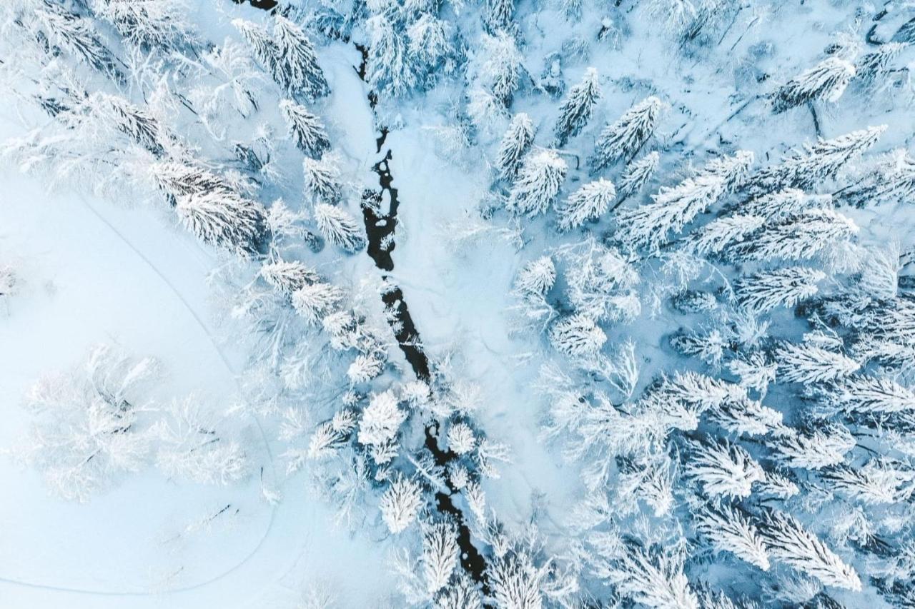 Résidence Les Portes du Soleil - Propriétés Mont Amour Avoriaz Exterior foto