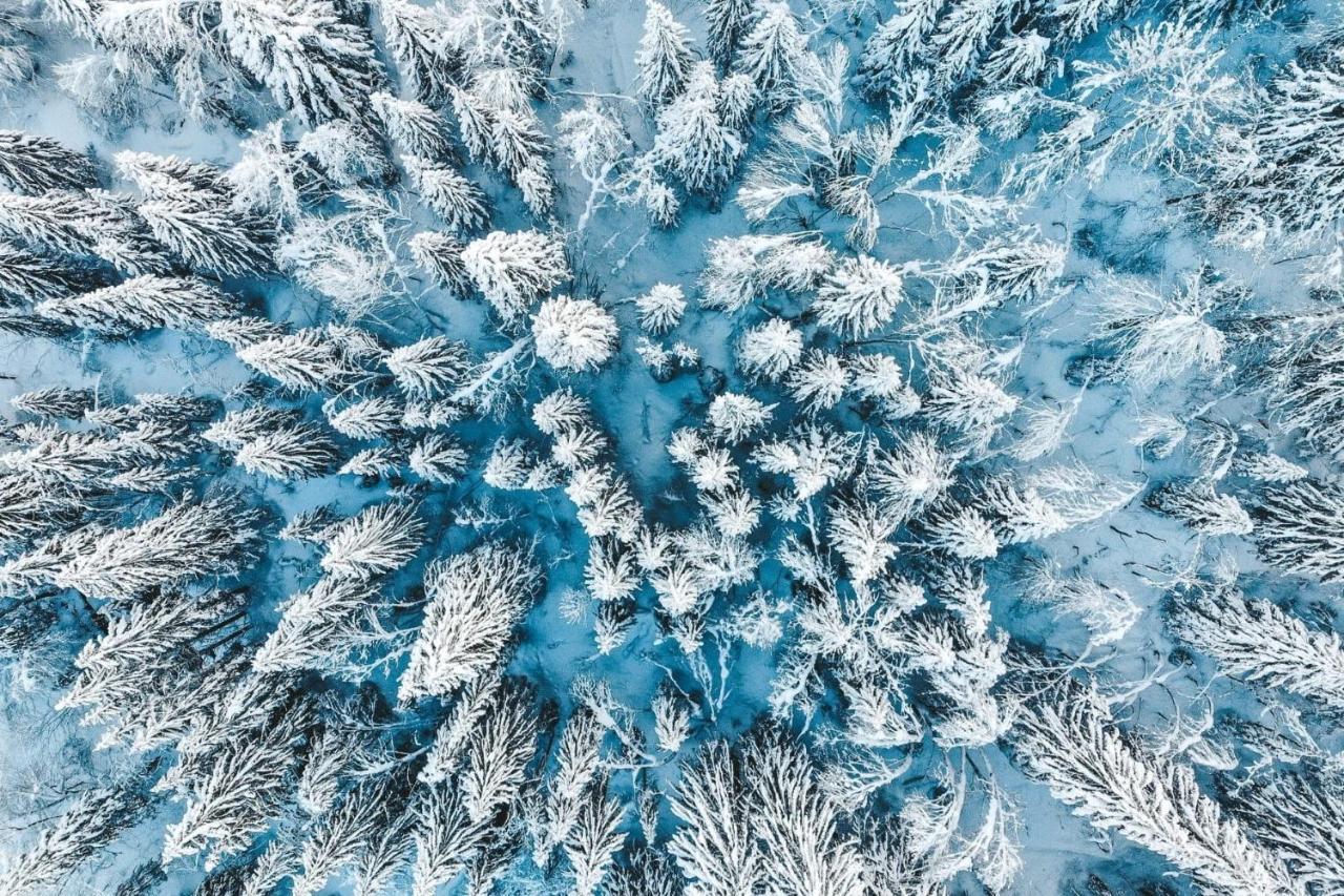 Résidence Les Portes du Soleil - Propriétés Mont Amour Avoriaz Exterior foto